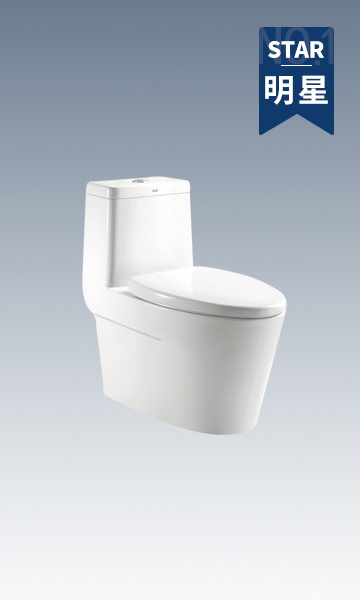 HC0136DT超旋風節水坐便器